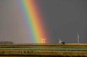 Sustainable Sourcing Policy Earns Industry Award