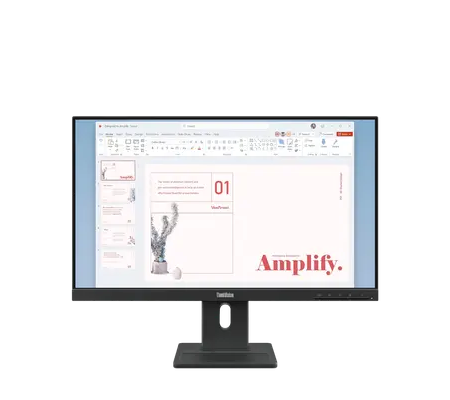Lenovo ThinkVision E24-40 23.8" Monitor