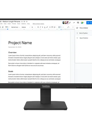Lenovo ThinkVision S22-4e 21.5" Monitor