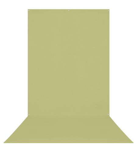 Westcott X-Drop Wrinkle-Resistant Backdrop, For Video Conferencing (Light Moss Green, 5 x 12 Feet)