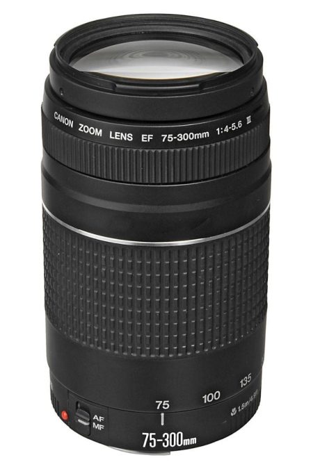 Canon EF 75-300mm f/4-5.6 III Telephoto Zoom Lens (Black) (Certified Refurbished)