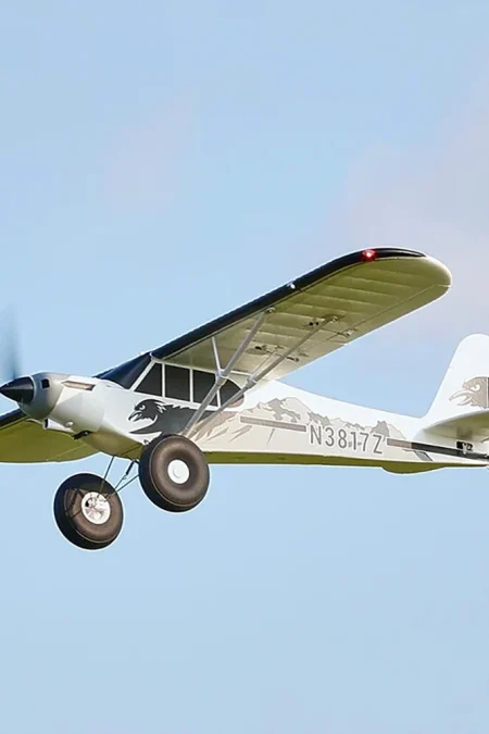FMS 1300mm PA-18 Super Cub with Reflex V2 EPO RC Airplane PNP