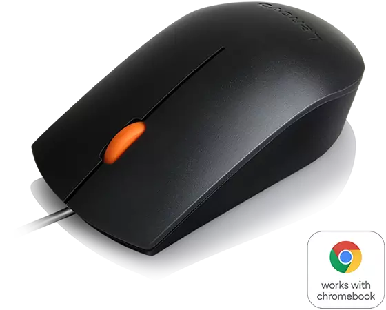 Lenovo 300 USB Mouse