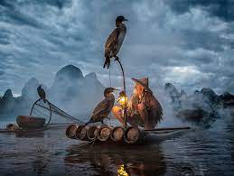 The Kings Ark Mingle™ Logo