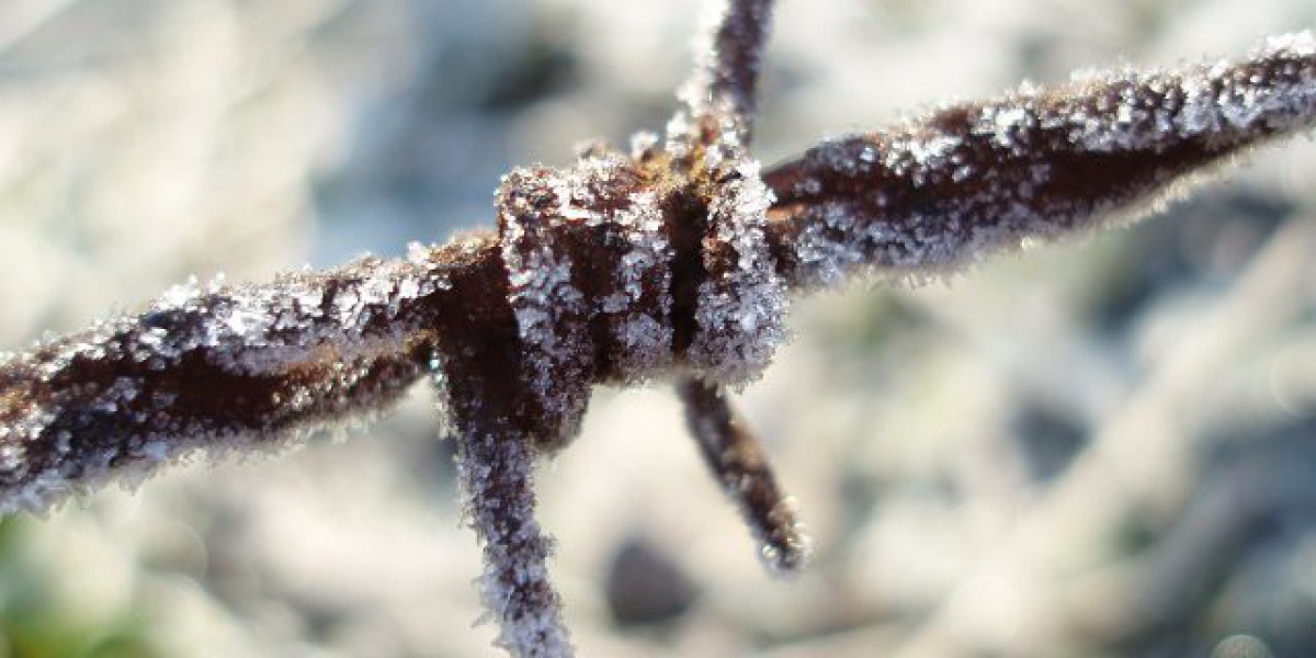 Western District of Washington Mexican national charged in August robbery spree involving casinos, and a bank United Sta