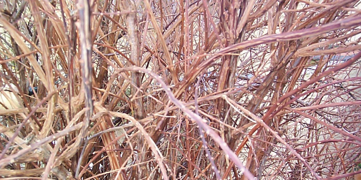 Helsinki, Uusimaa Weather Hourly Forecasts and Local Weather Events