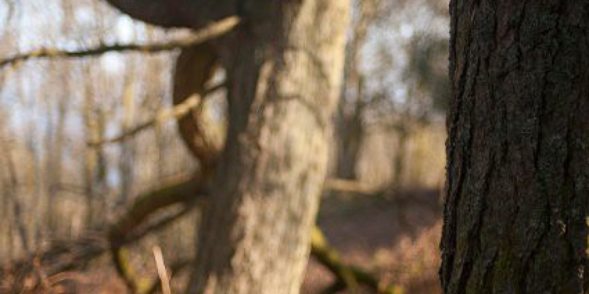 Pokies Online & Live Games in Australia