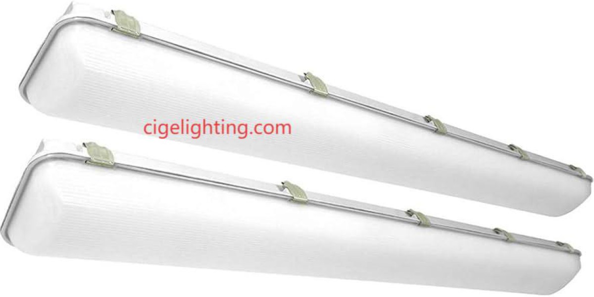 Cige Builds Authentic Durability in its Triproof Light Factory