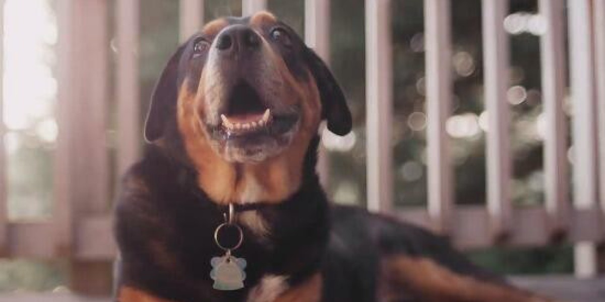 Bet9ja Promotion Code: YOHAIG - Your Ultimate Guide to Winning ₦1 Billion with the Catch the Boom Promotion