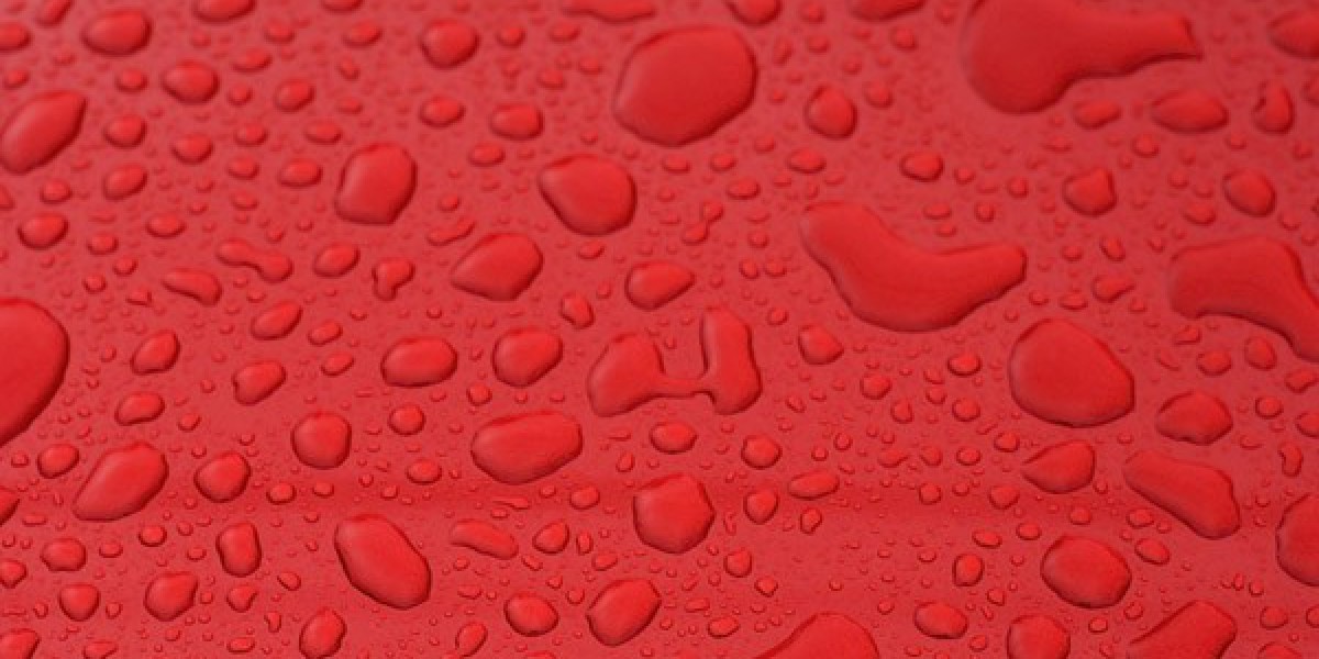 Discover Exciting Bonuses &amp; Offers