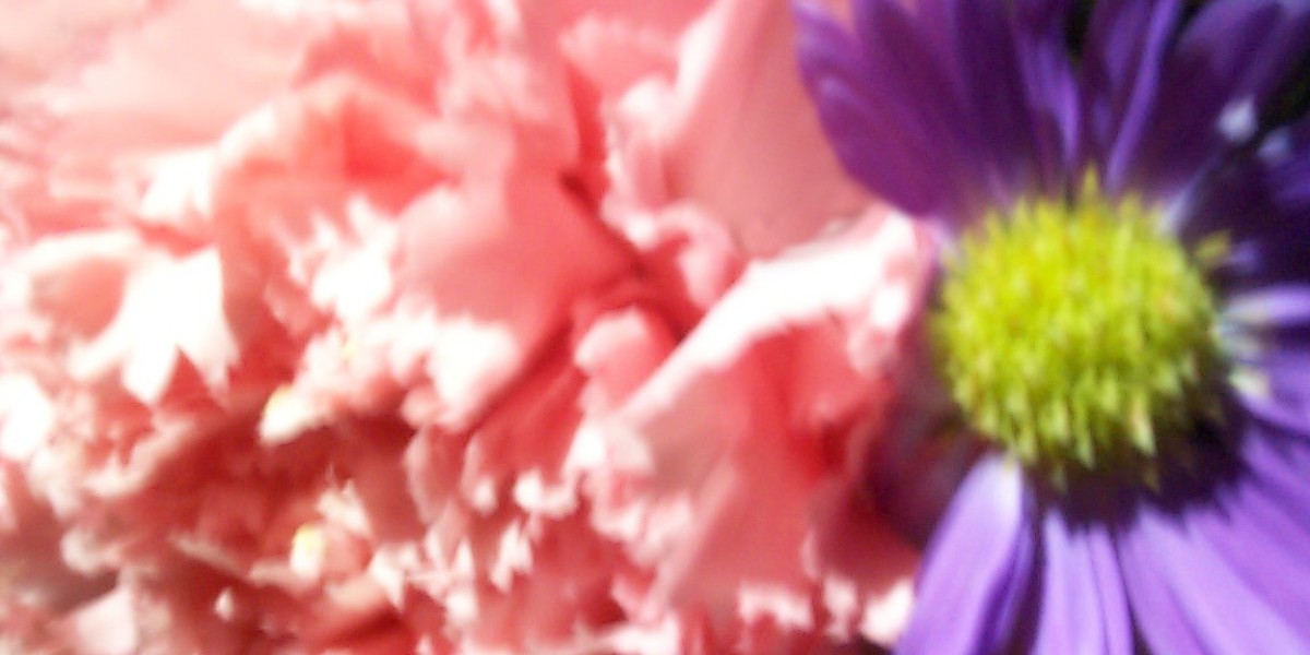 Top 10 Largest Casinos in Australia 2025