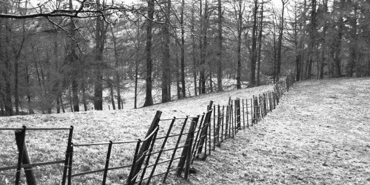 Play over 5000 pokies, enjoy fast withdrawals, 24 7 support, and top-tier security