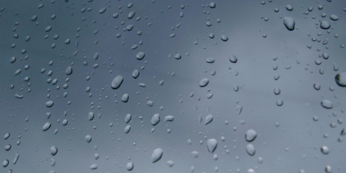 Meet the People Behind the Play