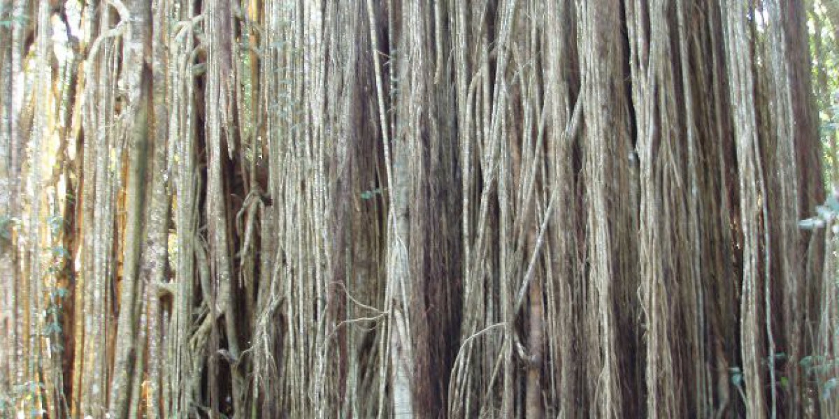 Online Pokies, Mobile Play & Fast AU$ Withdrawals