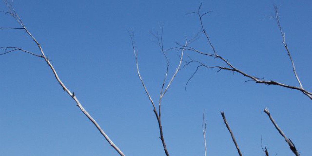 Ignition Casino No Deposit Bonus $3000 Welcome Bonus