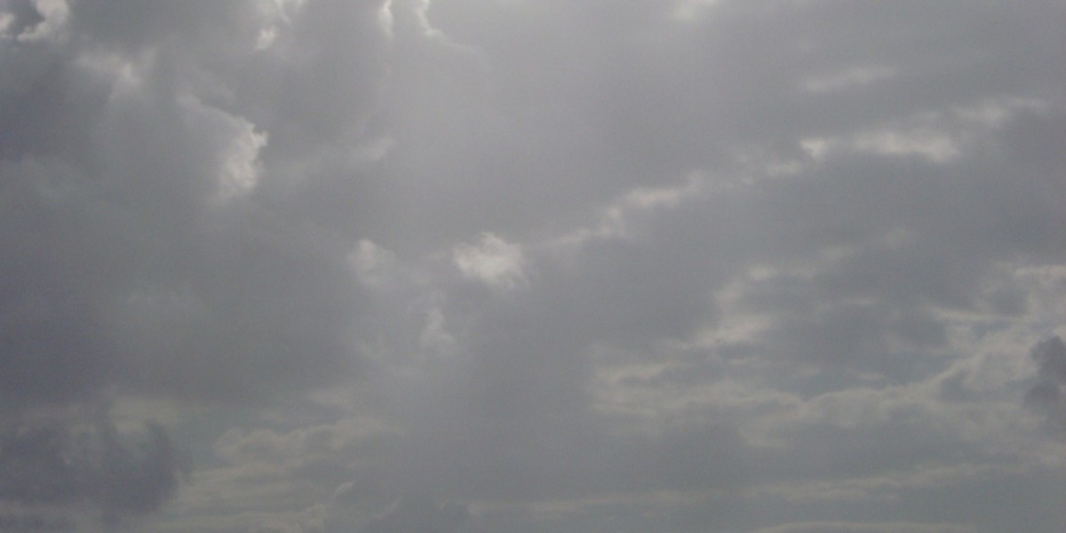 21Bit Casino Review 2,000+ Slots & Tables Up to 0 050 BTC + 200 FS