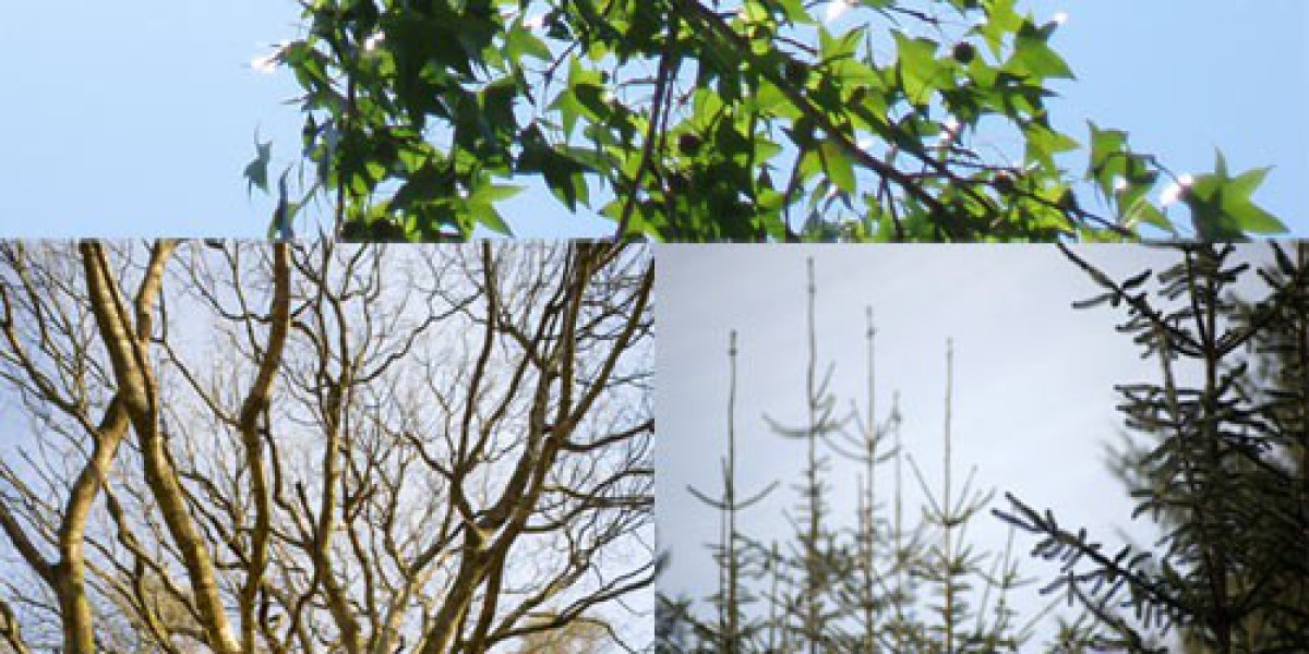 Our 16 Favorite Melbourne Casino Hotels, Australia in 2025