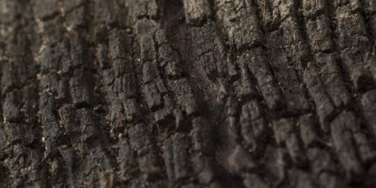 Top Online Slots and Live Games in Canada