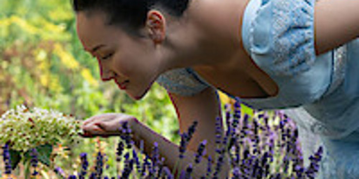 Bridgerton Season 4 Overview – Premiere Dates & Titles