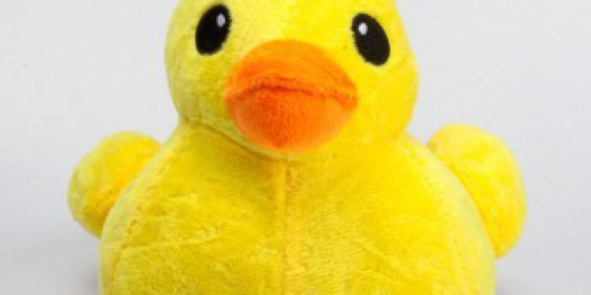 Cn-Toysfactory Duck Toy Smart Children's Products